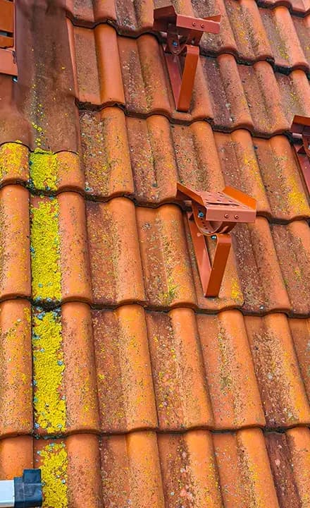 Dachówka przed czyszczeniem, porośnięta żółtymi porostami i mchem